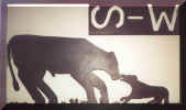 Silhouette Border Collie Breeder Sign   